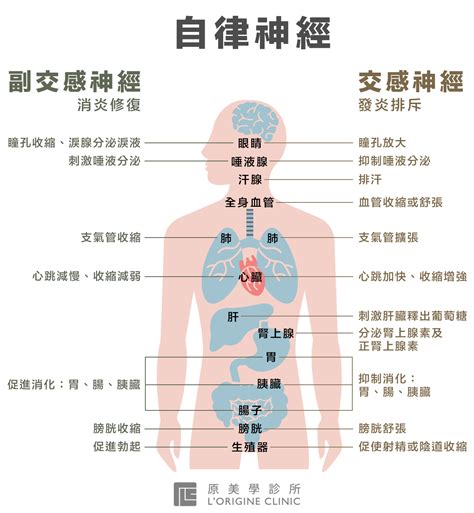 耳熱|左手指熱與持續耳熱：可能的神經內科問題